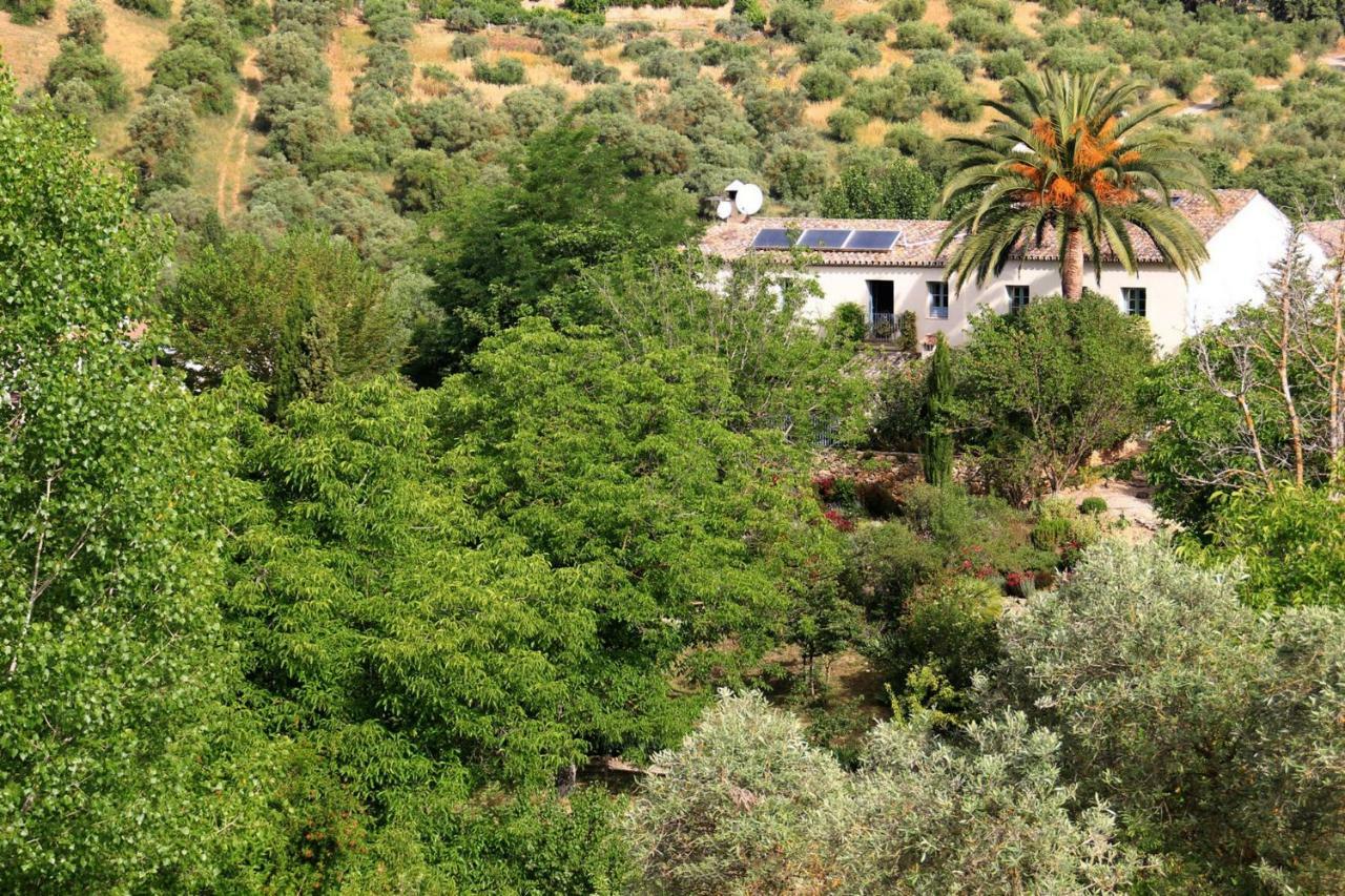 Beautiful Country House Near Ronda Arriate Extérieur photo